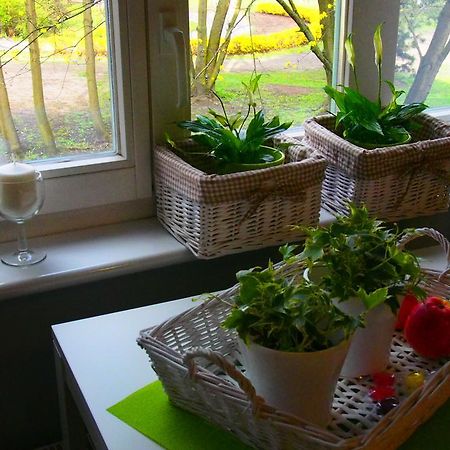 Ferienwohnung Kamienica Gorna 7 Allenstein Exterior foto